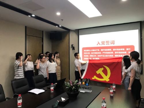 公司第一黨支部、第二黨支部分別召開黨員大會(huì)暨“不忘初心，牢記使命”主題教育專題黨員活動(dòng)日