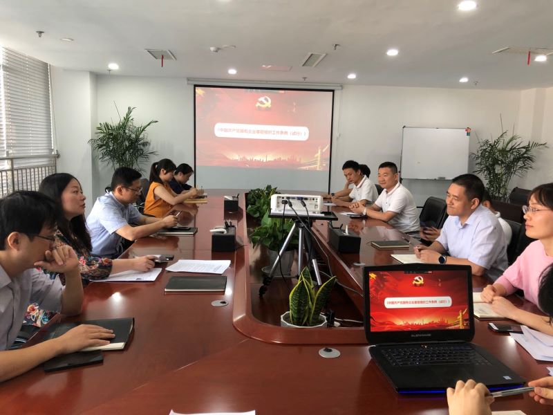 公司第二黨支部黨員大會順利召開