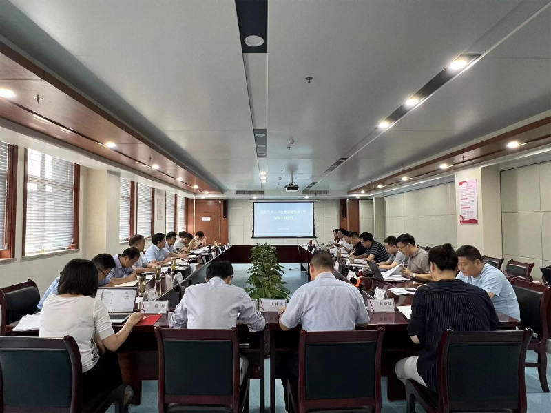 皖投置業(yè)公司黨委召開巡視整改工作領導小組會議