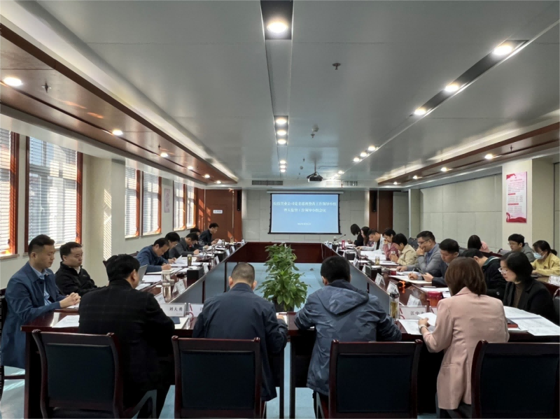 皖投置業(yè)公司召開省委巡視整改工作領導小組暨大監(jiān)督工作領導小組會議