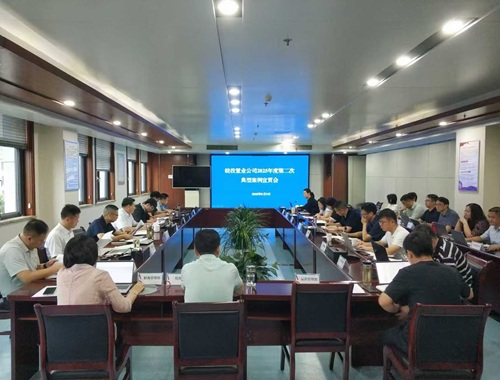 皖投置業(yè)公司召開2025年度第二次典型案例宣貫會 以案例為鑒筑牢高質(zhì)量發(fā)展根基